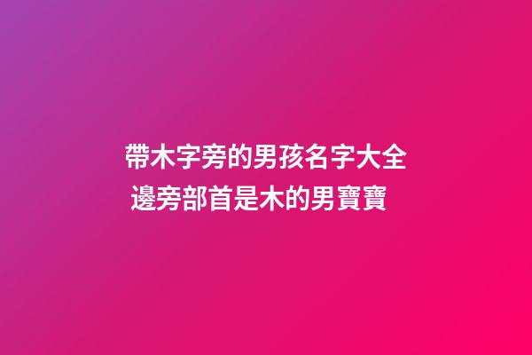 帶木字旁的男孩名字大全 邊旁部首是木的男寶寶